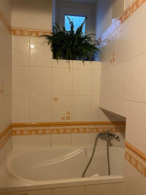 Flat In The House & Dog Friendly Apartment