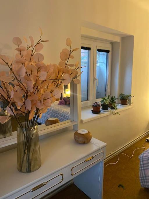 Apartment Flat In The House & Dog Friendly *