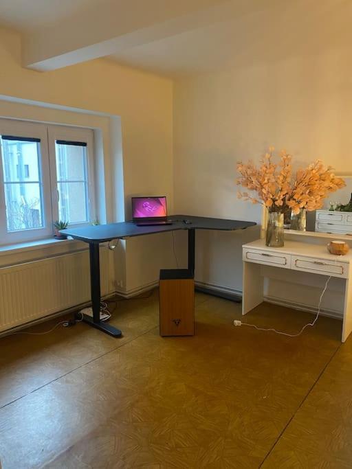 Flat In The House & Dog Friendly *