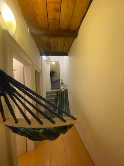 Flat In The House & Dog Friendly