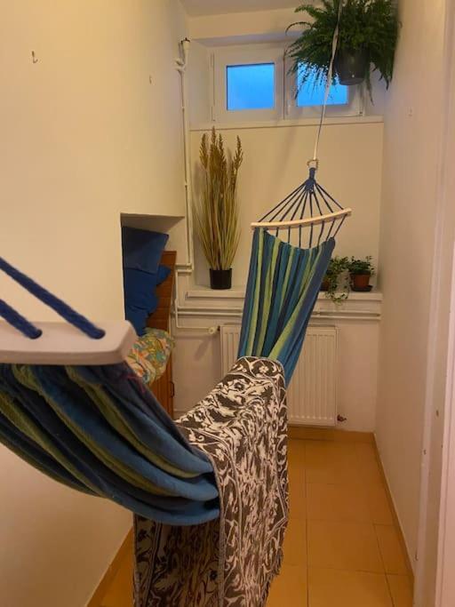 Flat In The House & Dog Friendly *