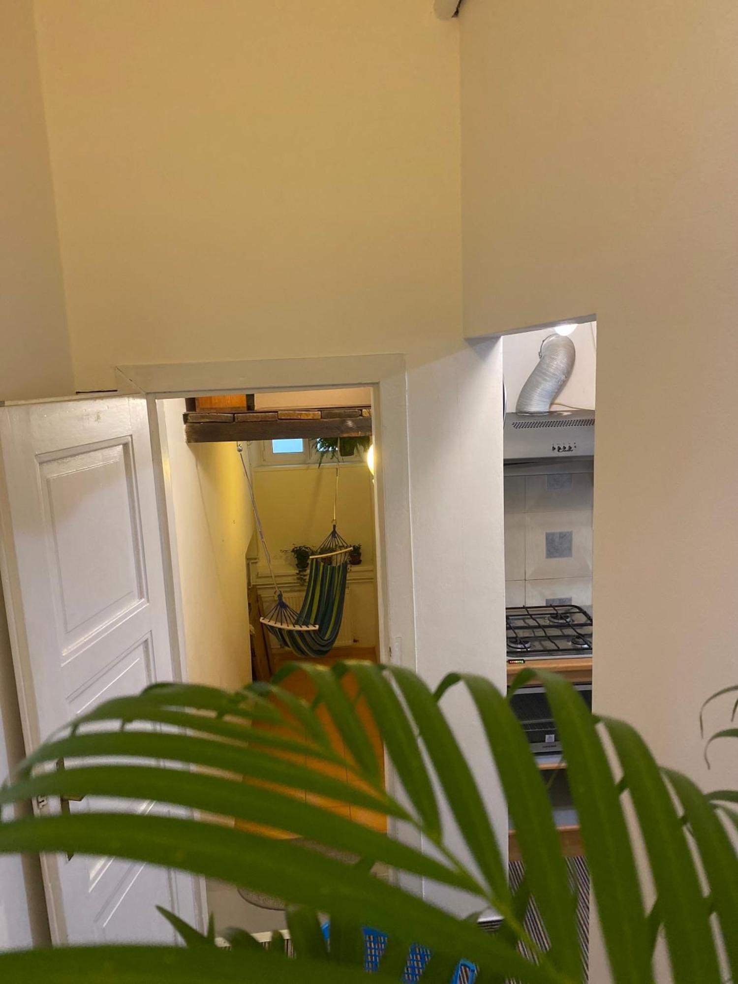 Flat In The House & Dog Friendly Apartment *