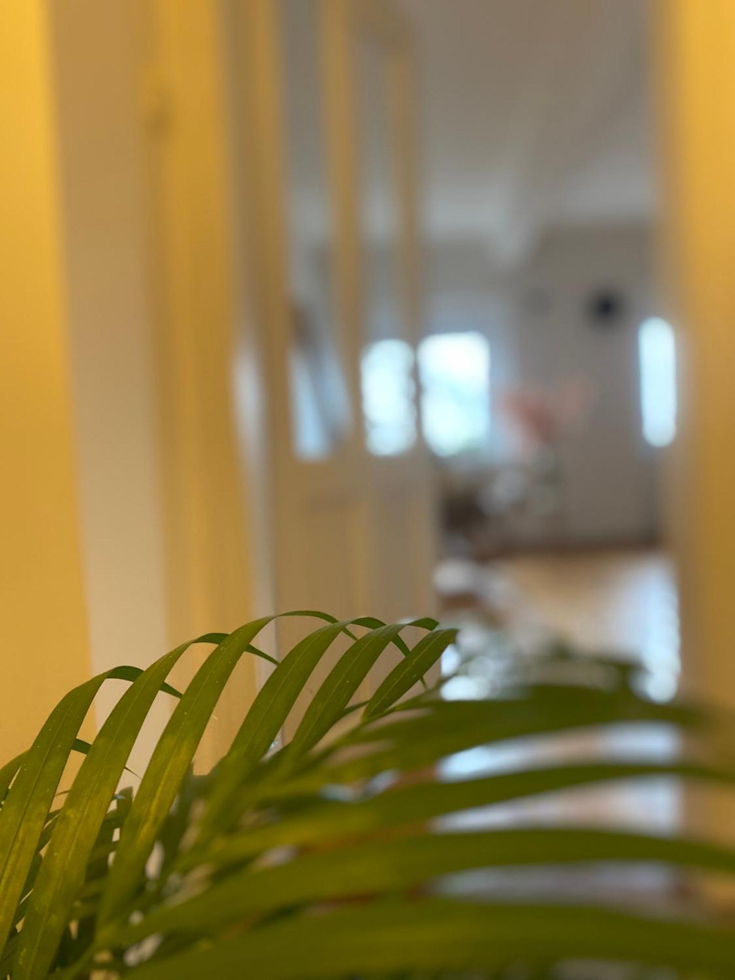 Flat In The House & Dog Friendly Apartment