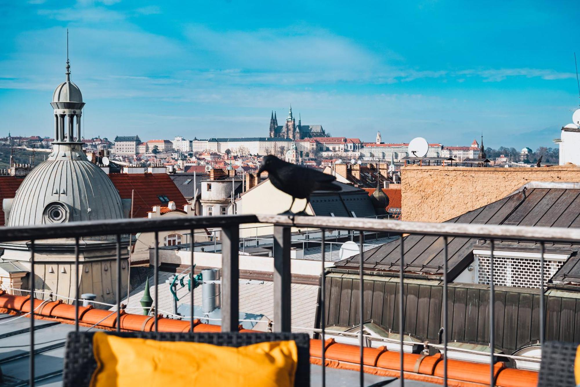 Two-level With A Terrace Near The Vltava River