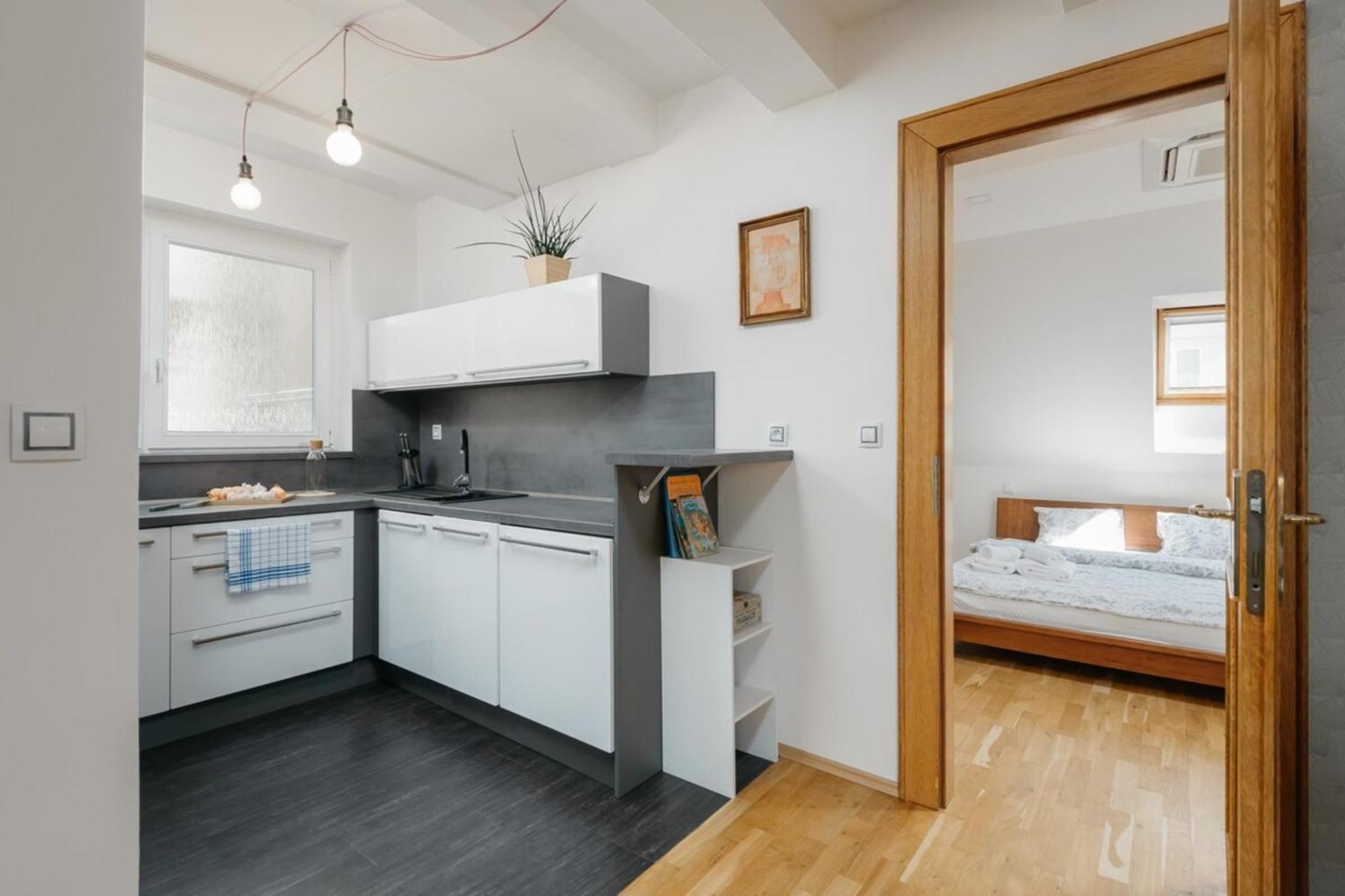 Apartment Eli Spacious With Old Town View, Parking & Ac Prague