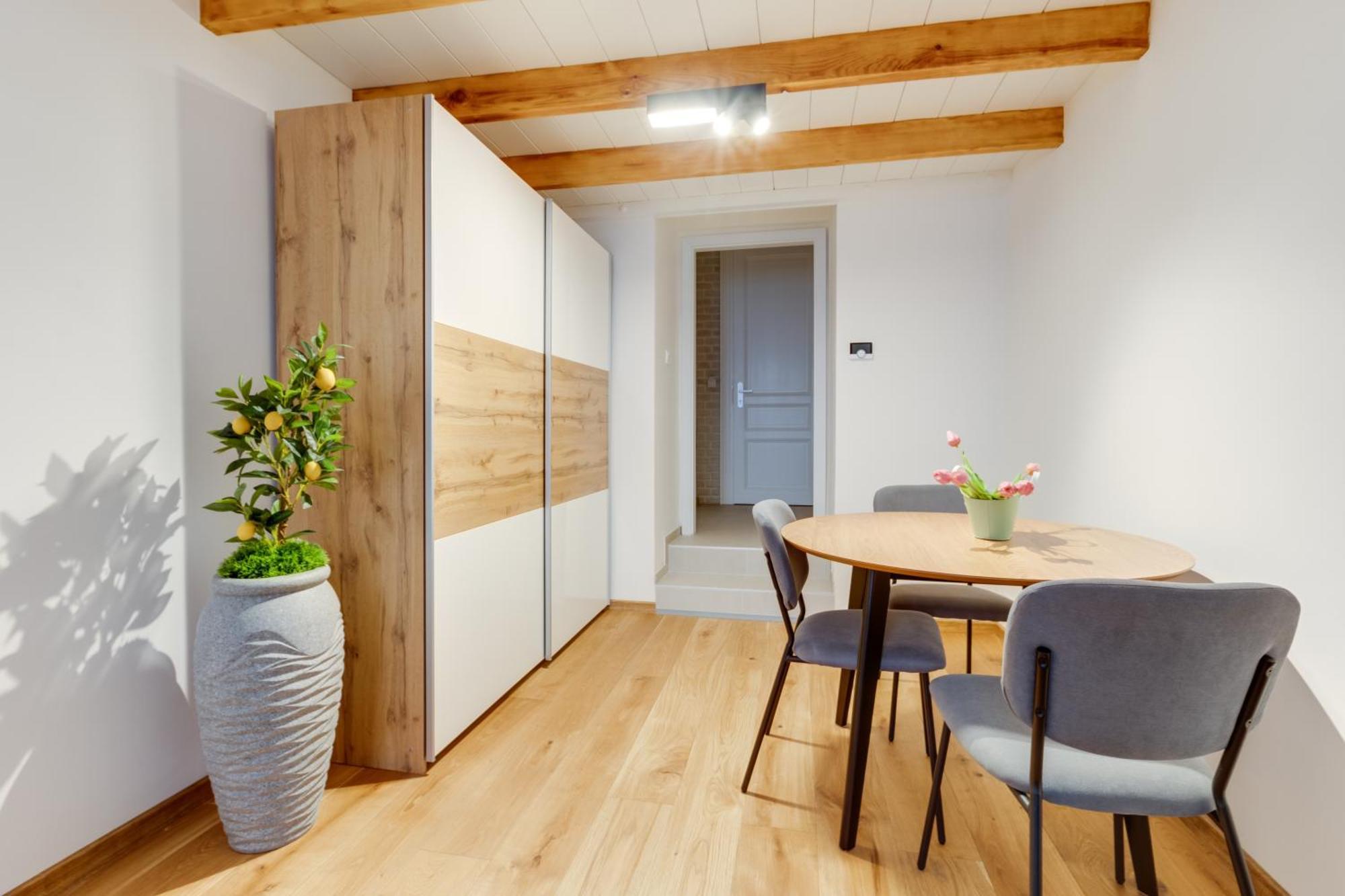 Apartment Dream Prag