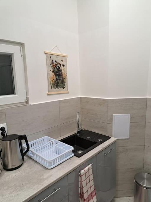 Flat Near The Vysehrad Castle Apartment Prag
