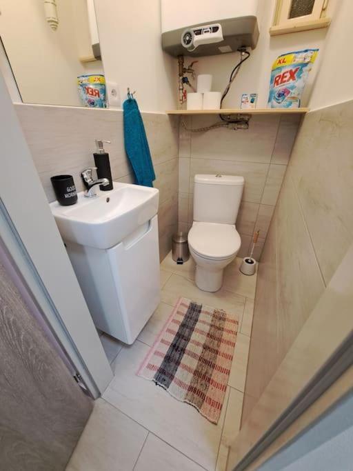 Flat Near The Vysehrad Castle Apartment