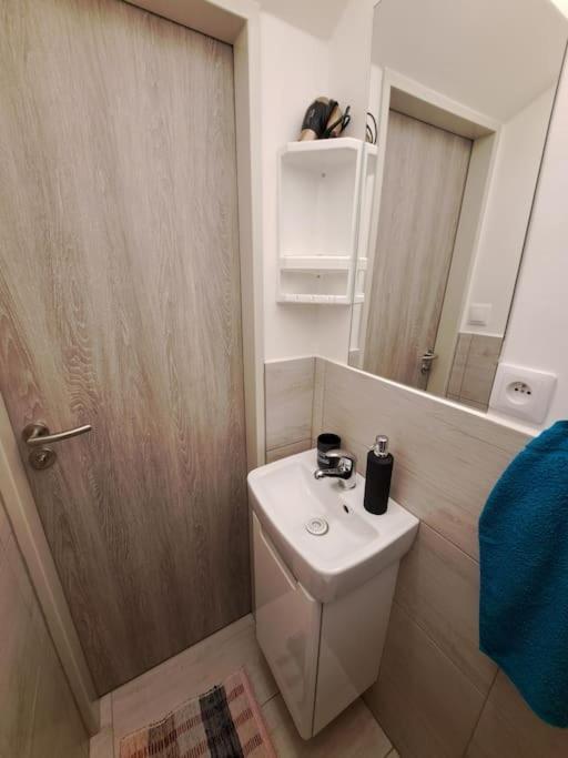 Apartment Flat Near The Vysehrad Castle *