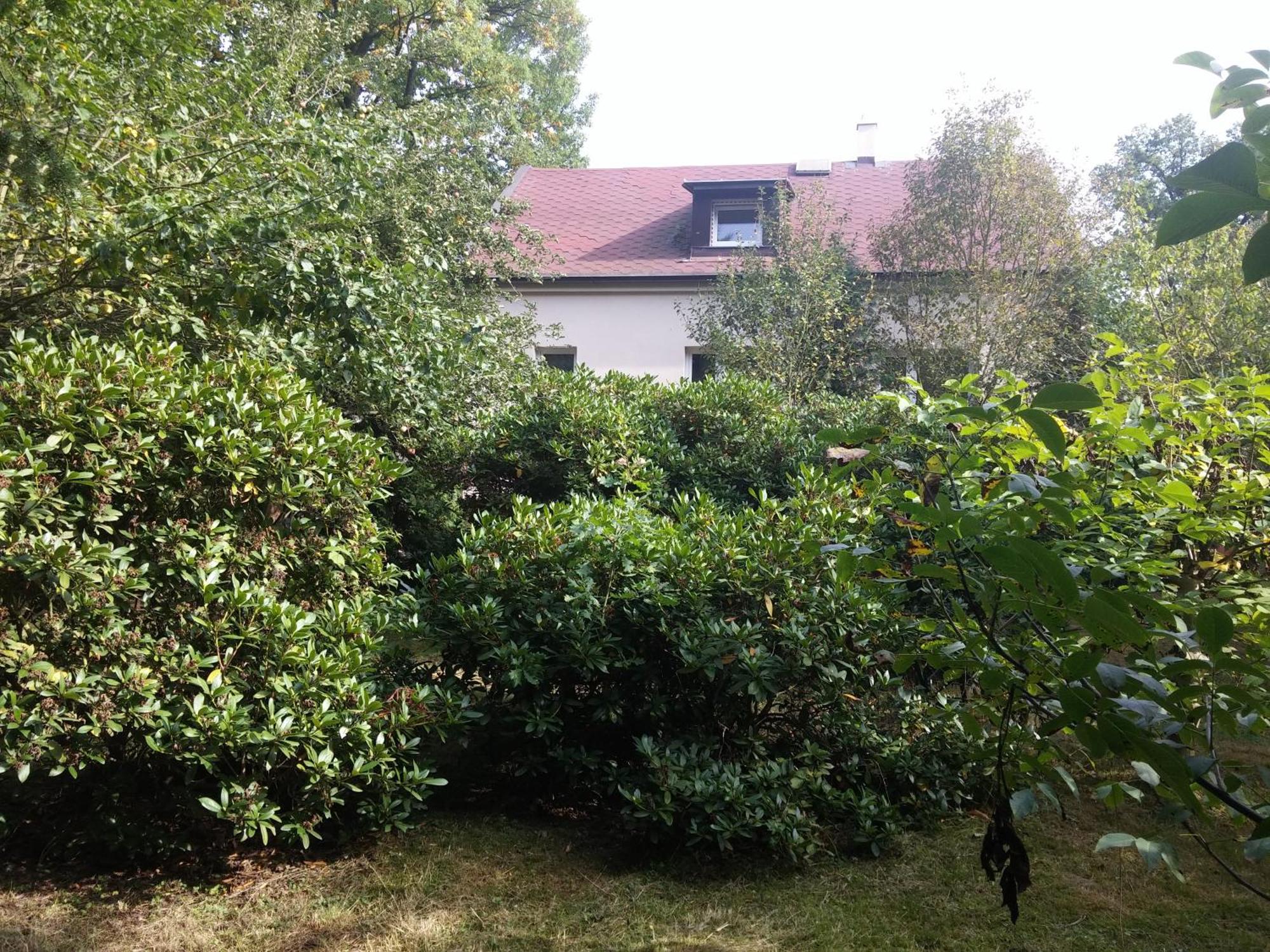 Wellness Home, Forest Getaway Villa Prague
