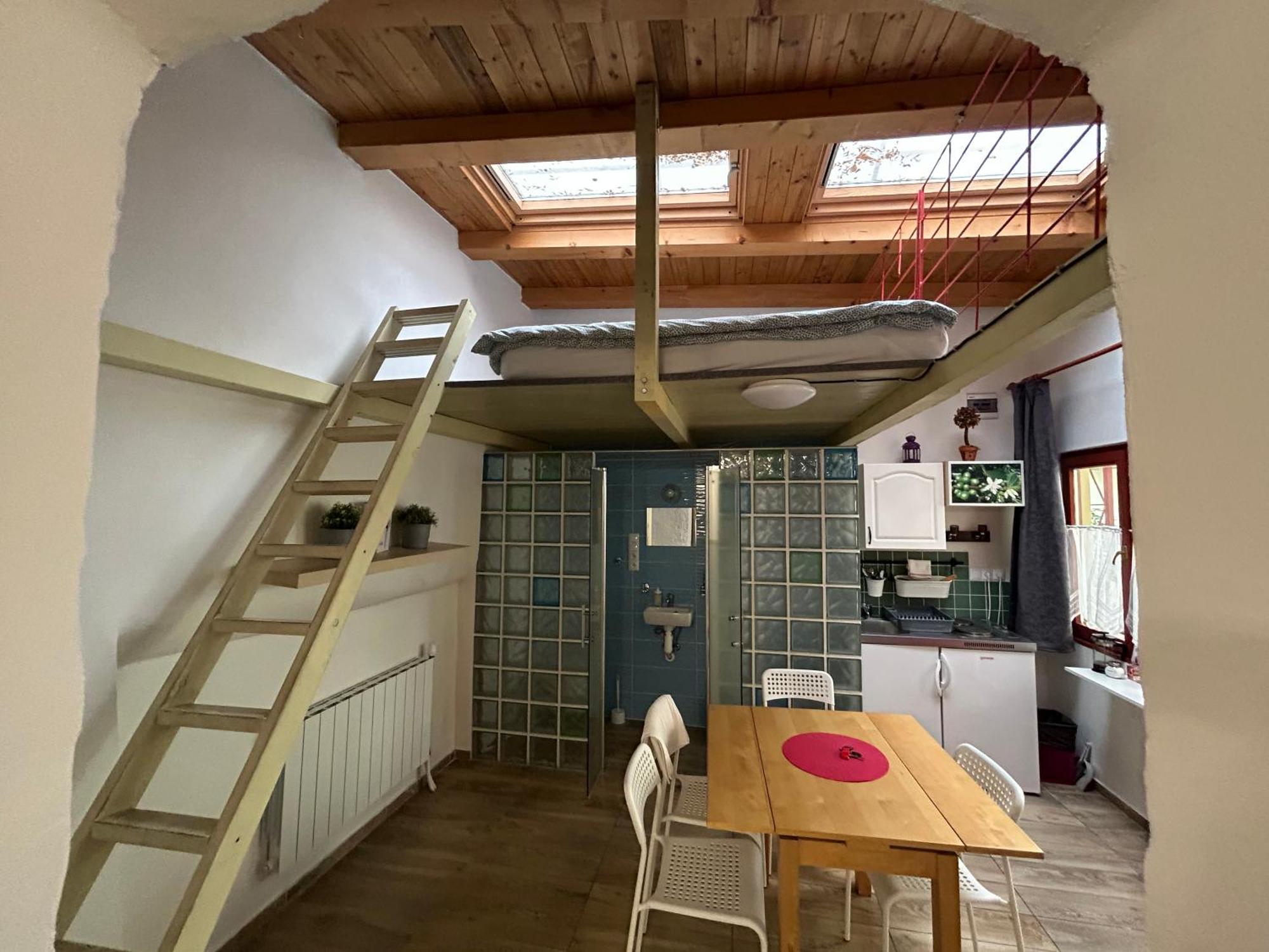 Apartment Party House - Ve Smeckach 18, Center!!