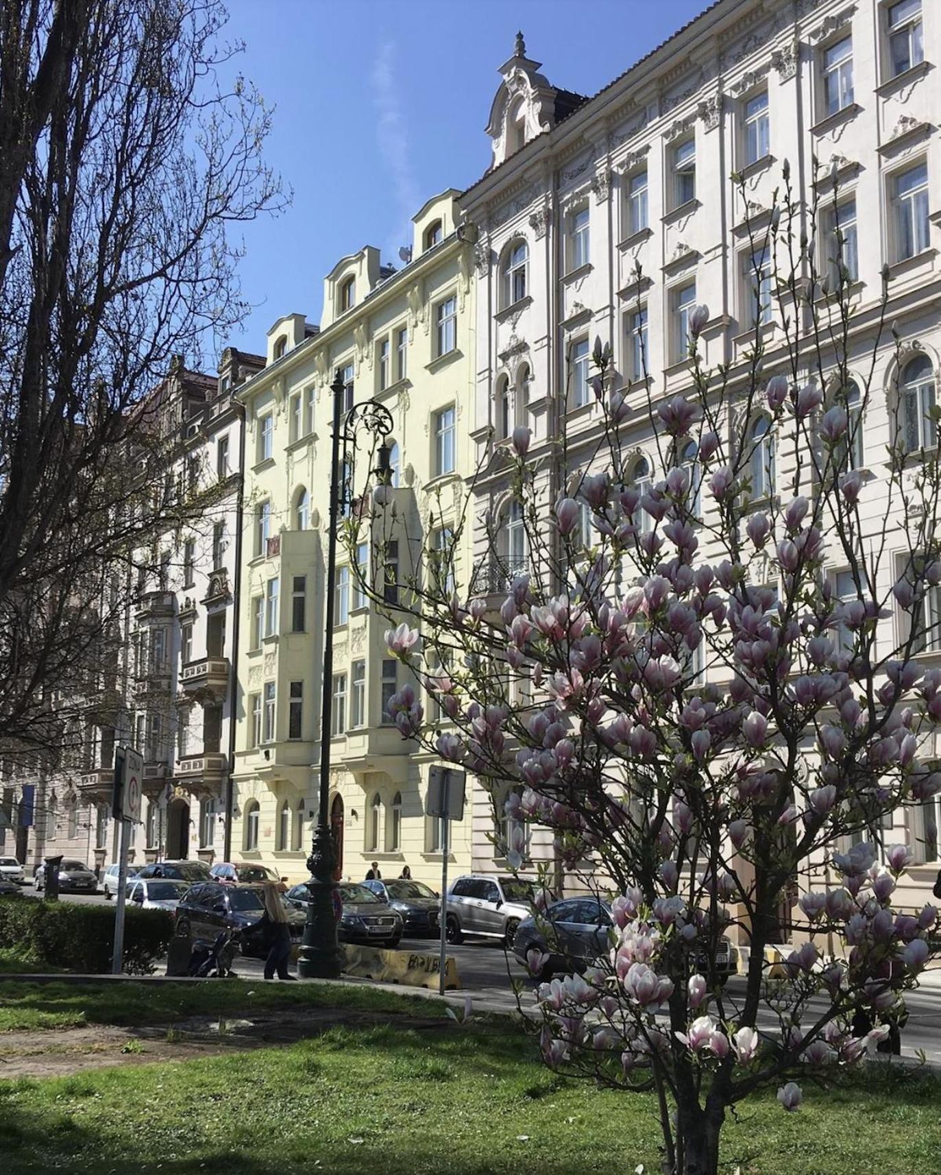 Apartmán River Site Janackovo Nabrezi 27 *