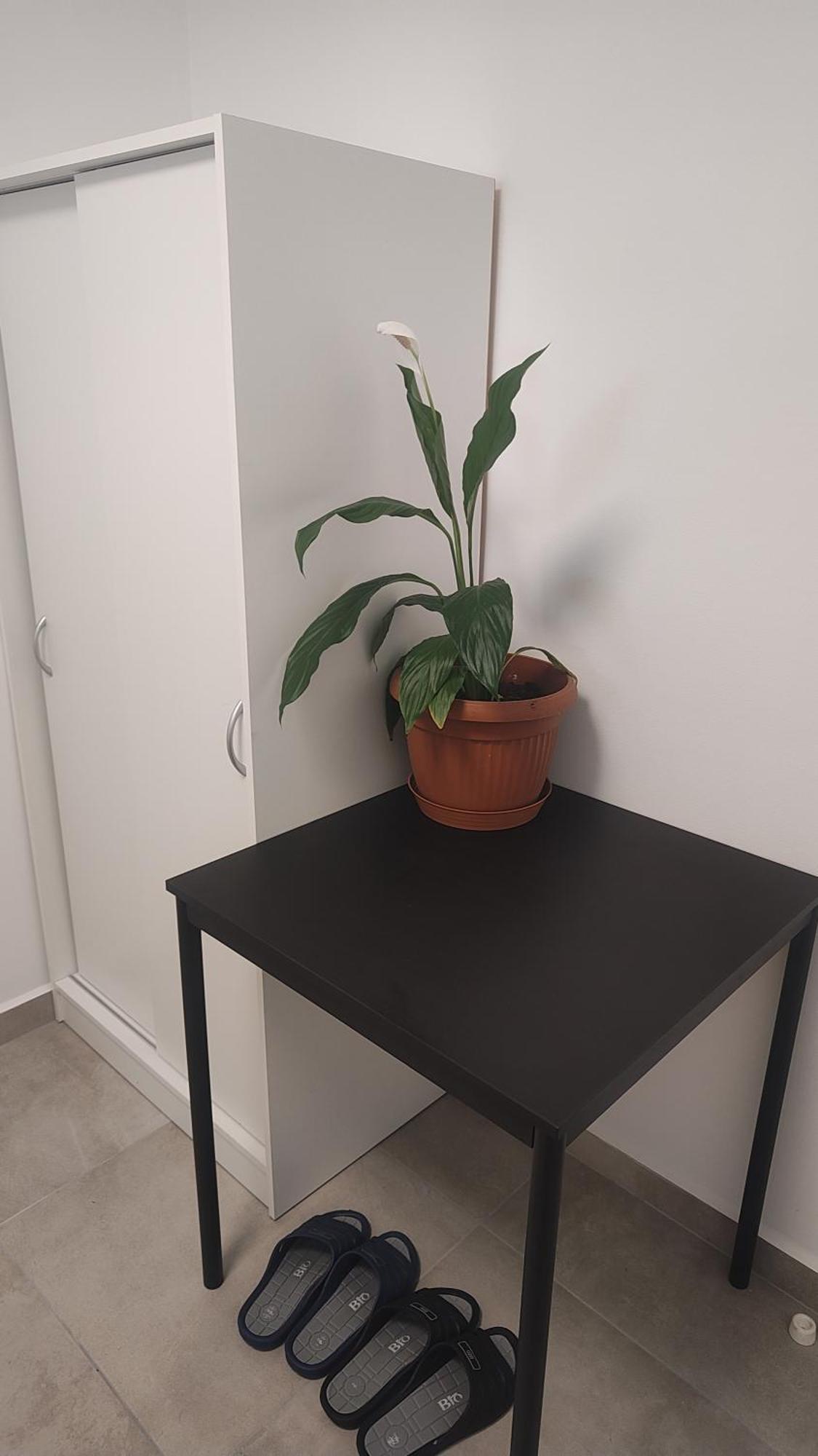 Apartment Vu's Prague