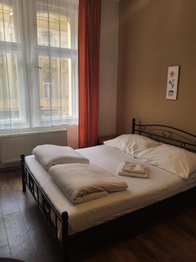 Sunflower Prag