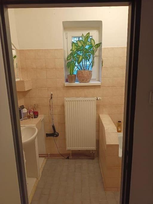 Privat bolig Lovely And Free Parking Prag