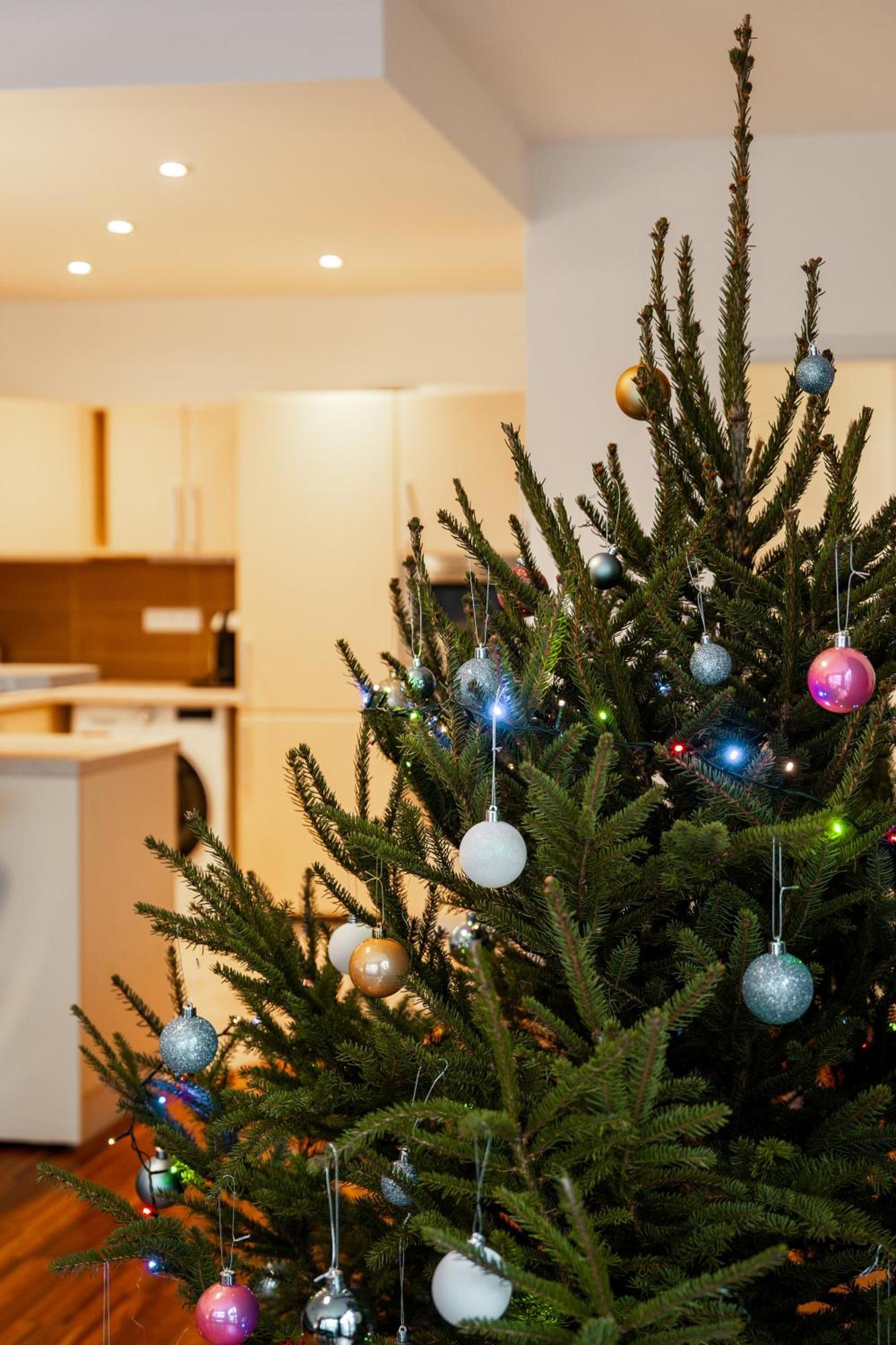 Auriapartments Karlin 2kk S Terasou A Parkovanim * Prag