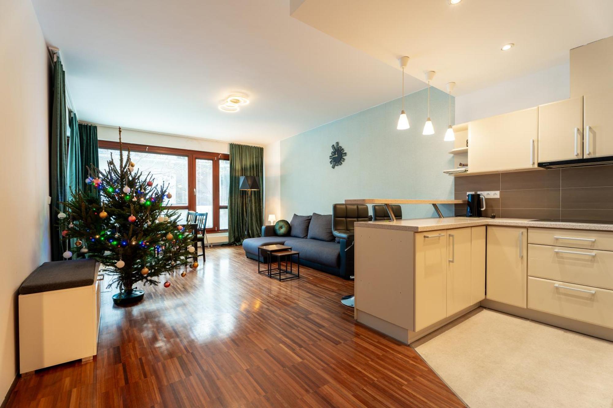 Auriapartments Karlin 2kk S Terasou A Parkovanim Lejlighed Prag