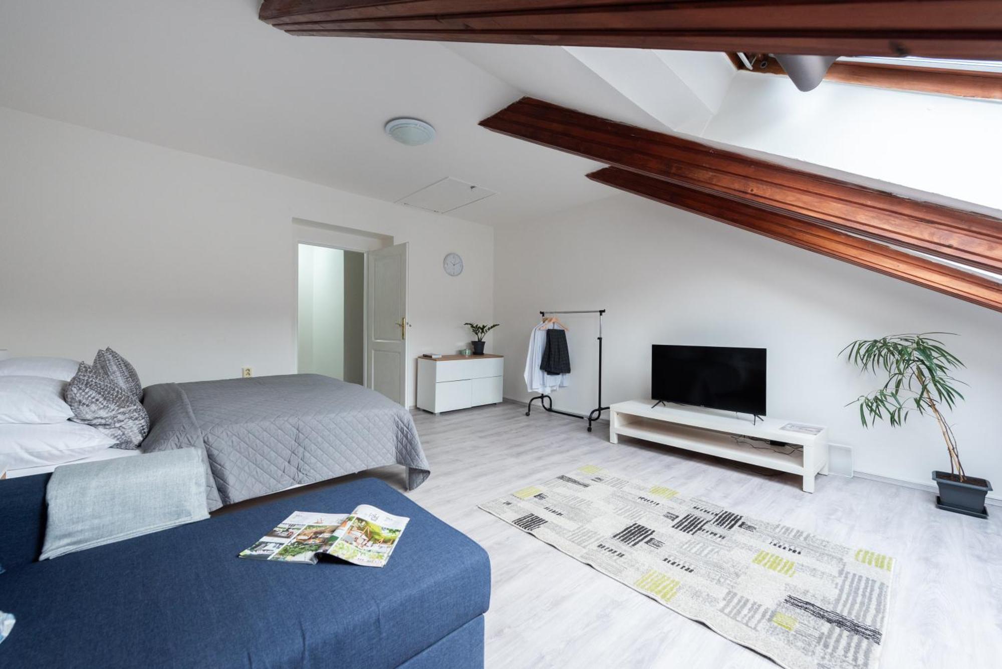 - Karlin Apartment Prague
