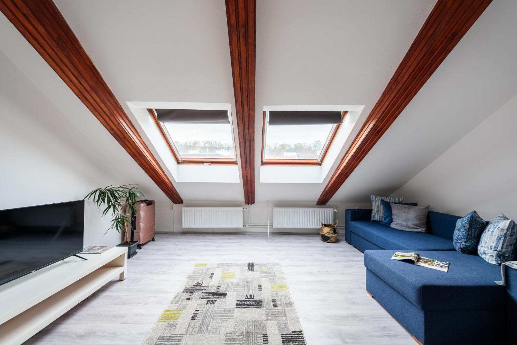 Apartment - Karlin Prague