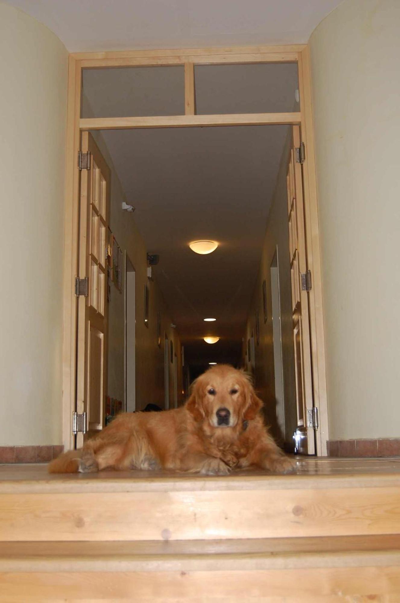 Hostel Toulcuv Dvur Praha