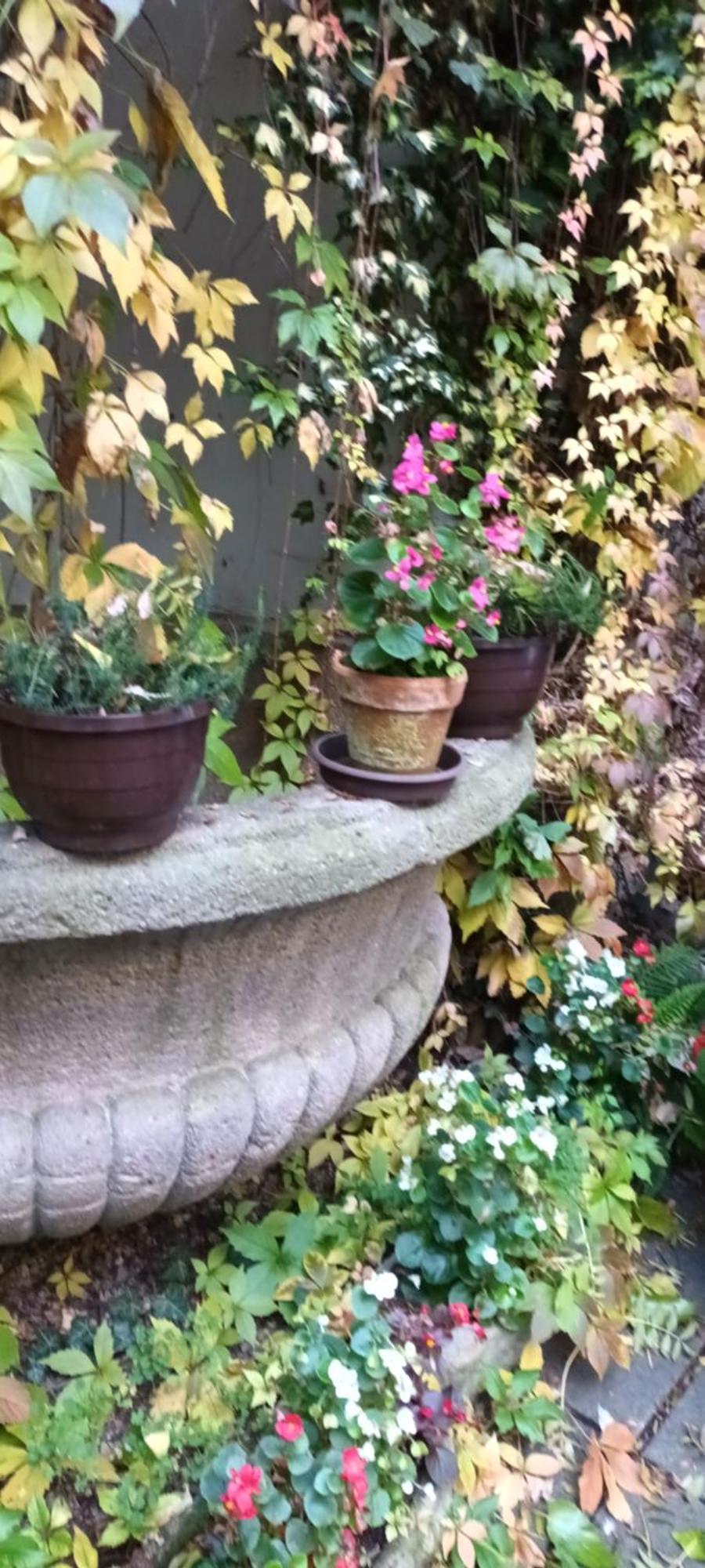 Miraculous Lägenhet Prag