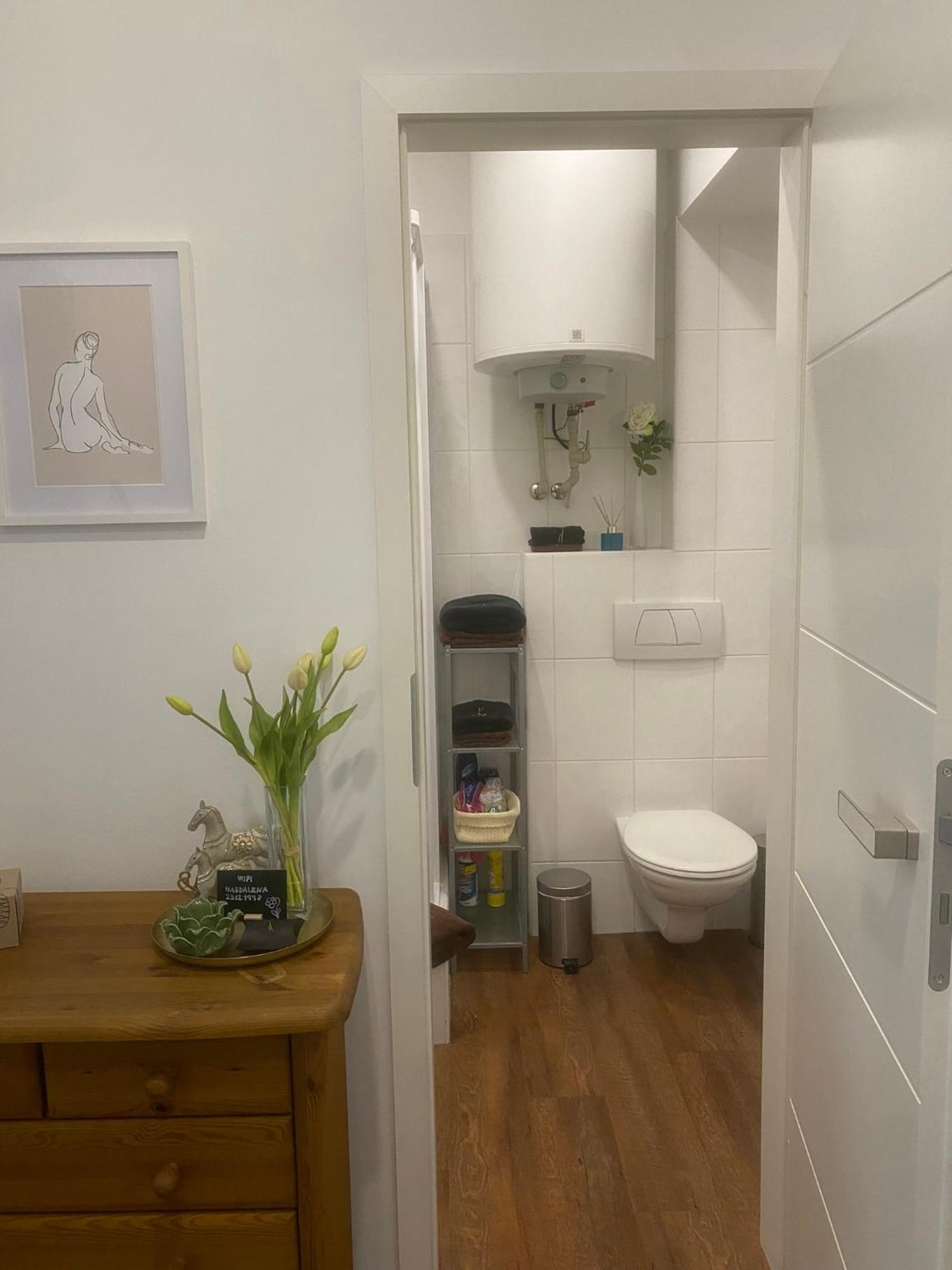 Apartment 2+kk, 50 M2 V Klidne Lokalite. 10 Min Od Centra Prahy. Prag