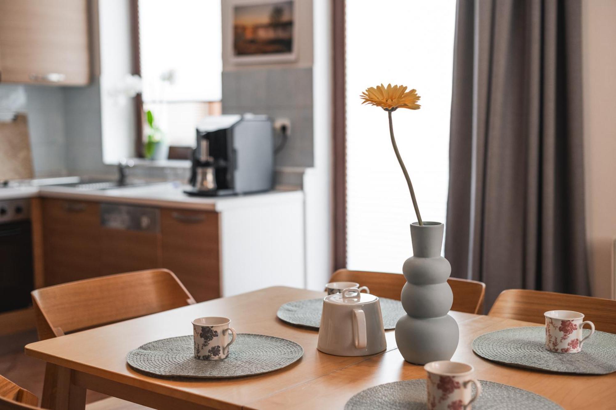 Spacious With Huge Balcony! Apartment