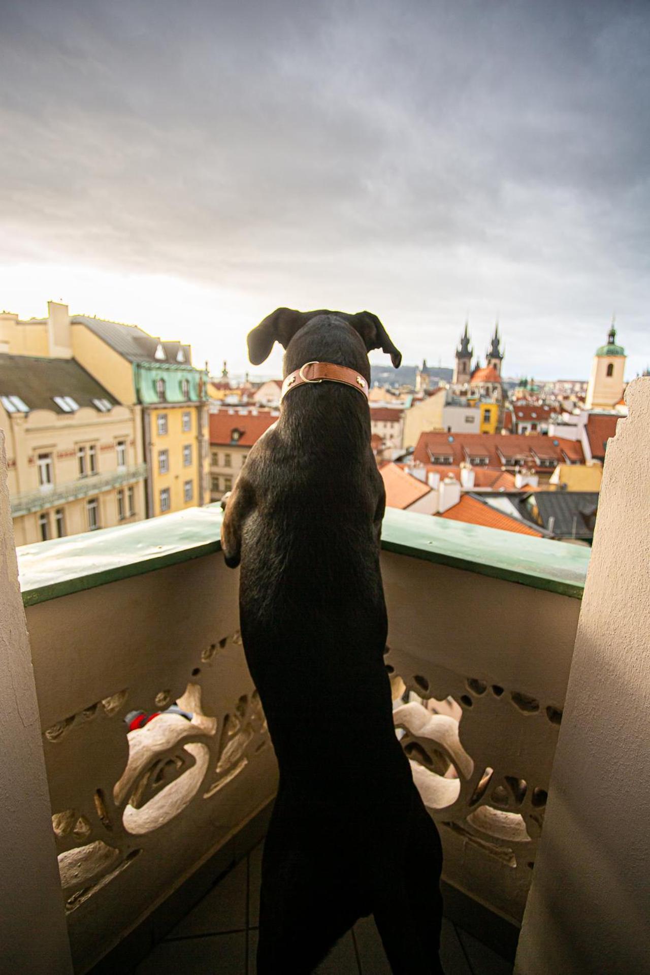Hotel Paris Prag