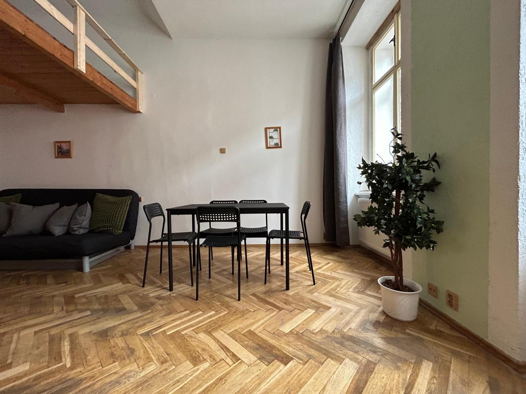 Apartment Party House - Ve Smeckach 18, Center!! *