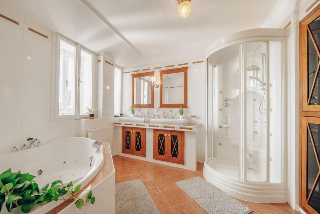 Apartment Magnificent Historical Penthouse In The Heart Of