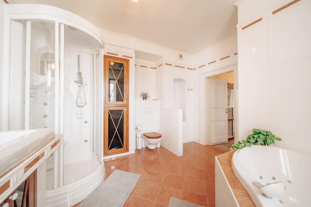 Magnificent Historical Penthouse In The Heart Of * Prag