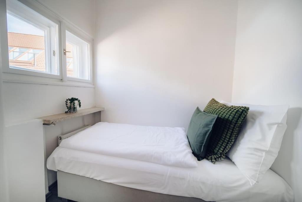 Apartment Downtown 2bd Riverside Near Dancing House Prag