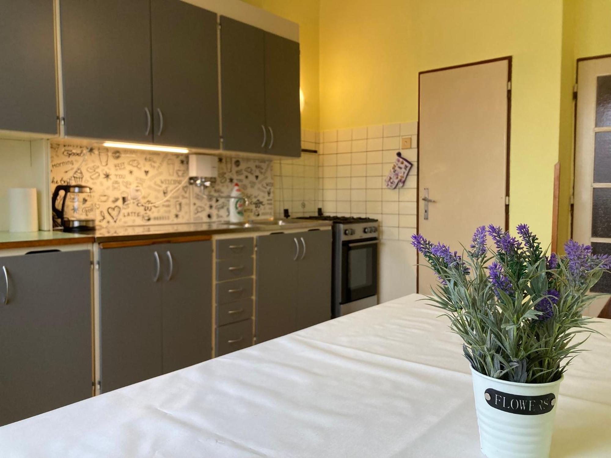 Apartment Spacious - Free Parking! Prag