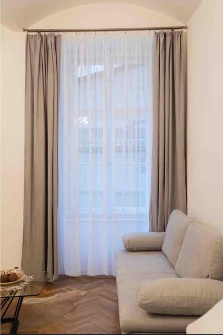 Cozy Flat By Wenceslas Square! Apartment Prag