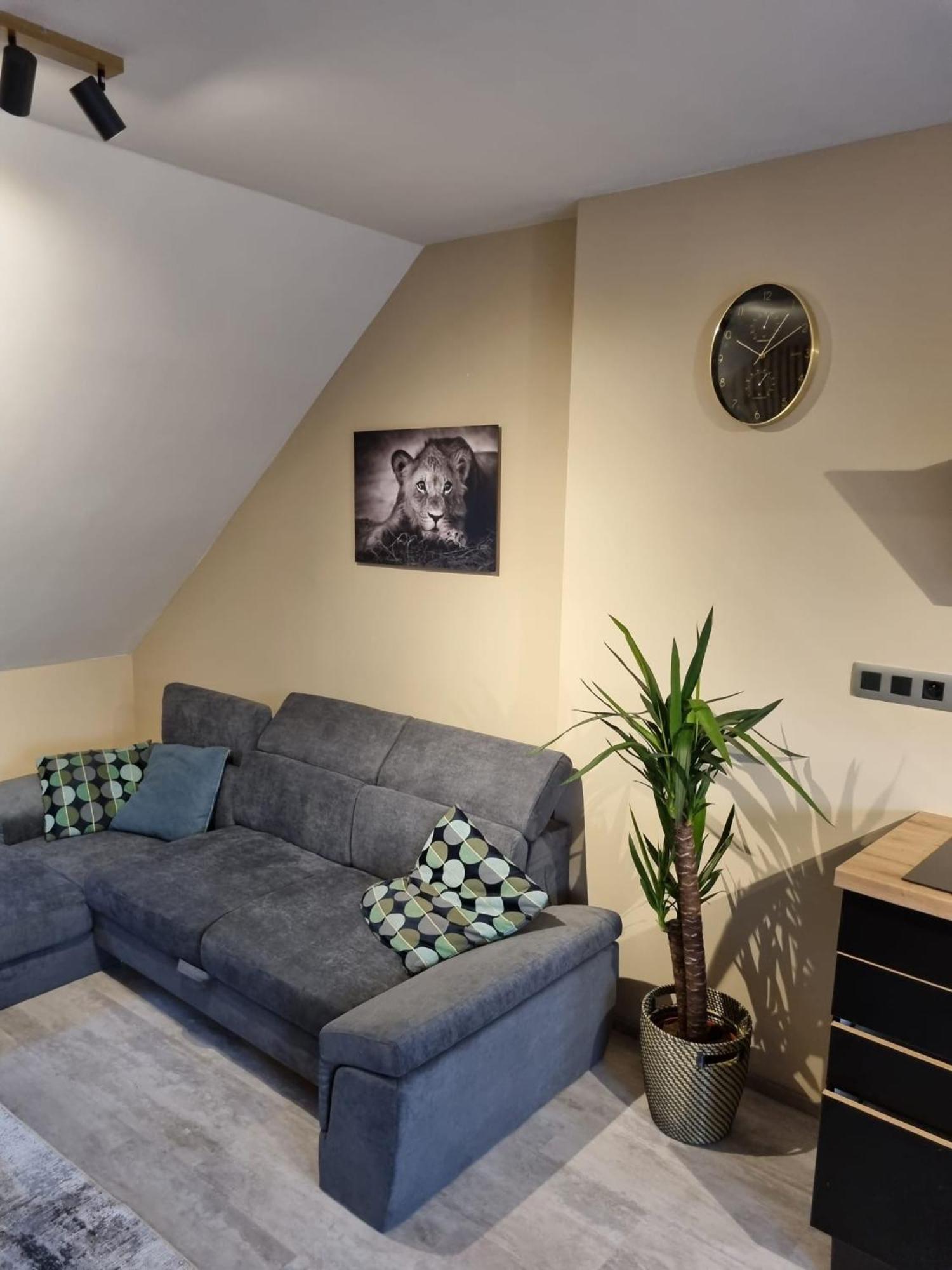 Vltava Design *