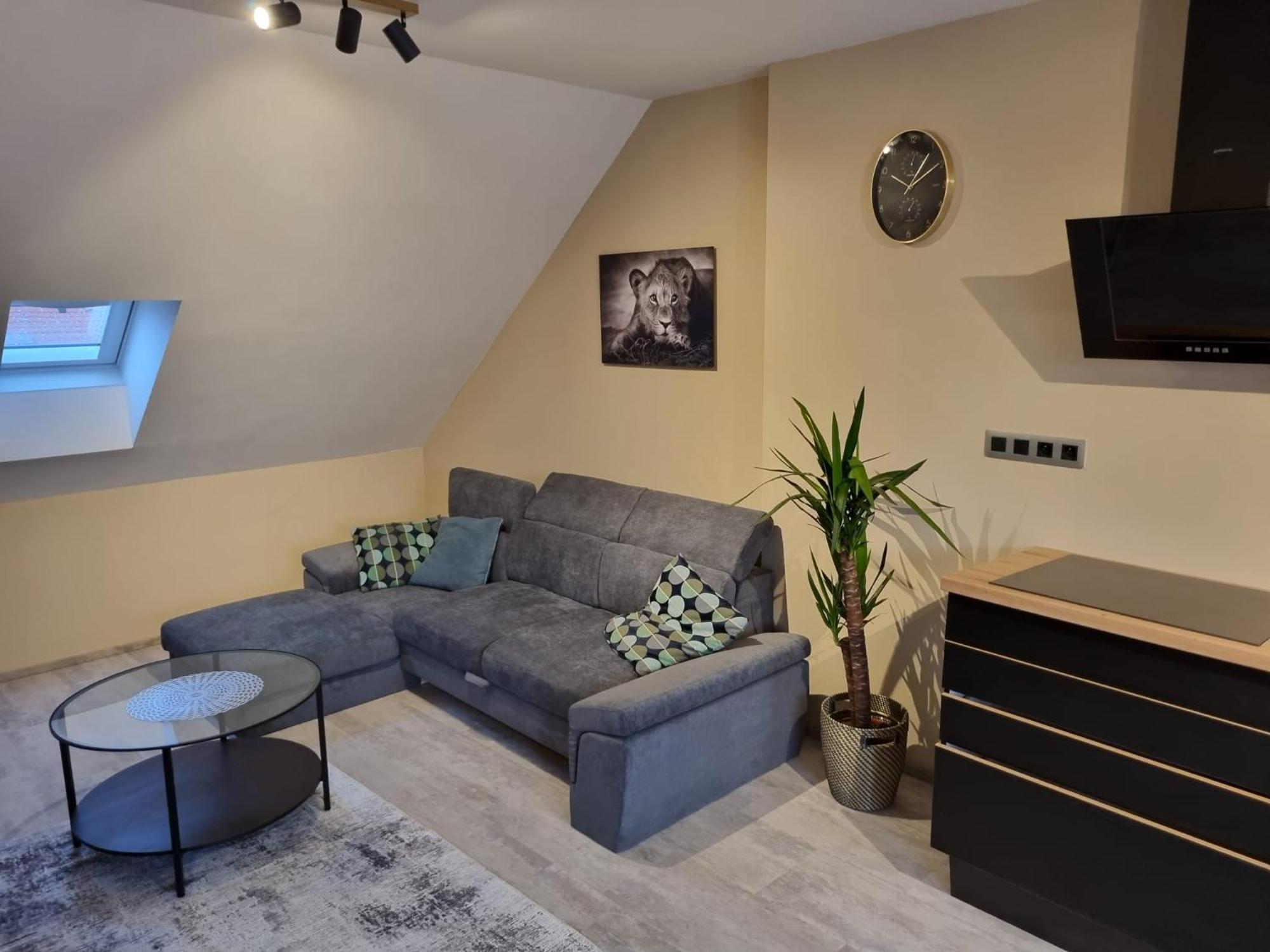 Vltava Design Apartment Prag