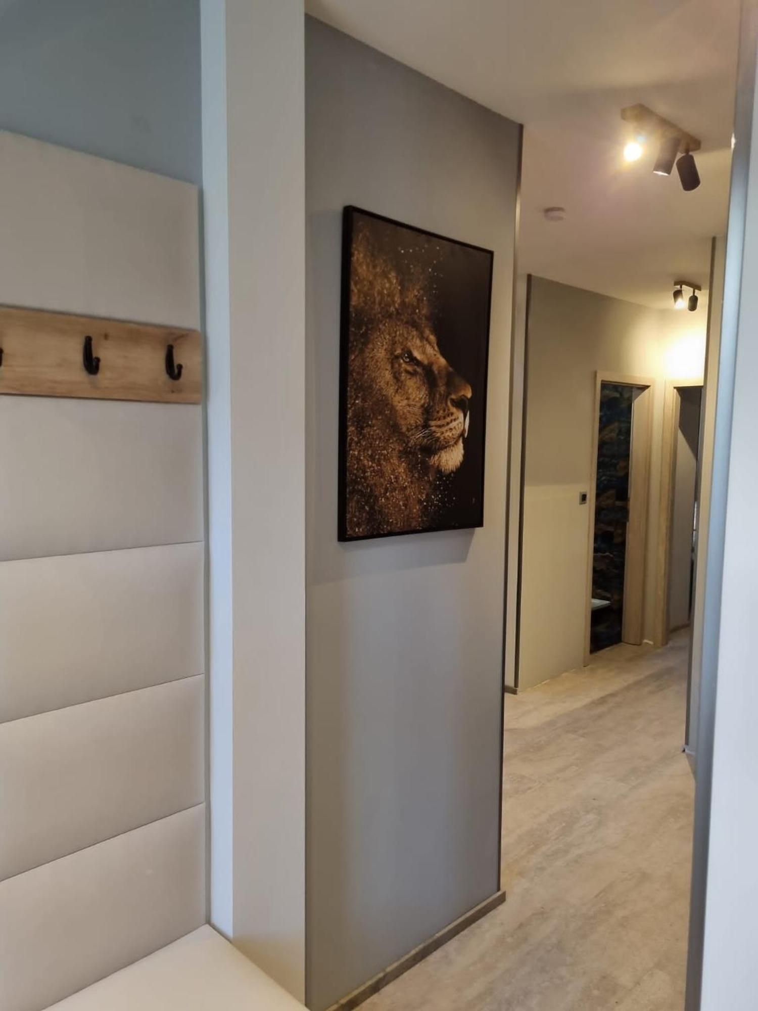Vltava Design *