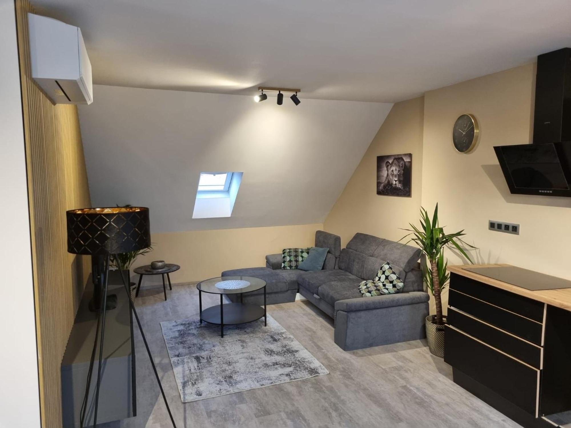 Vltava Design Apartment *