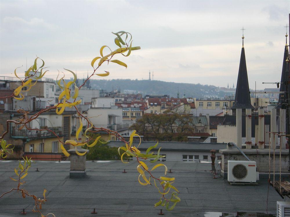 Unie Prag