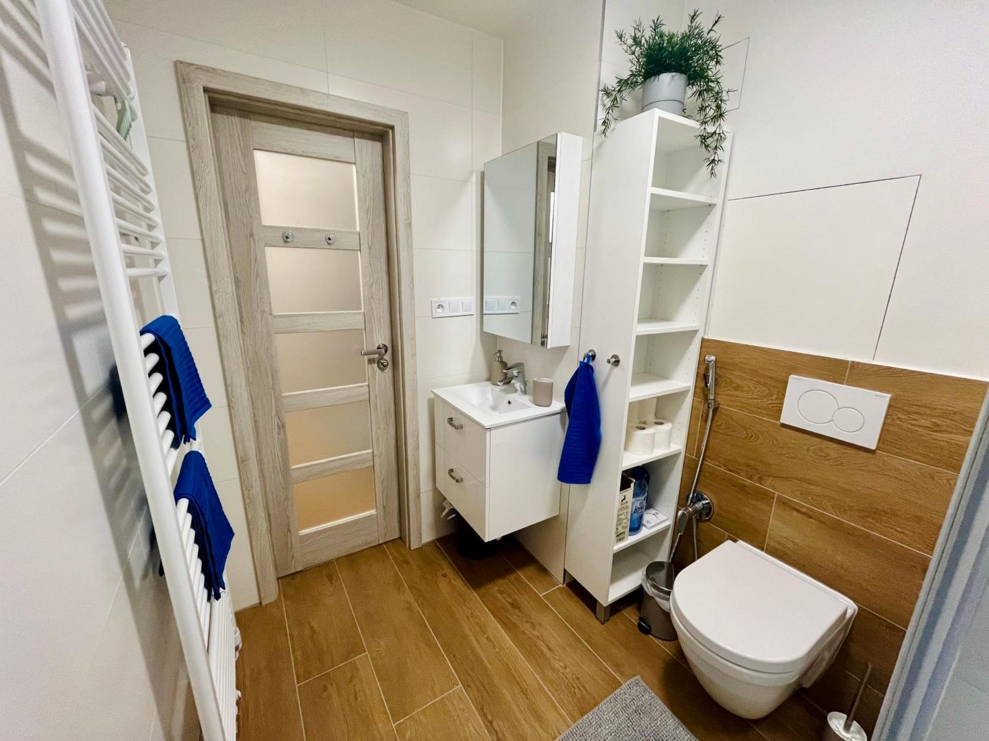Pleasant Basement Apartment Prag