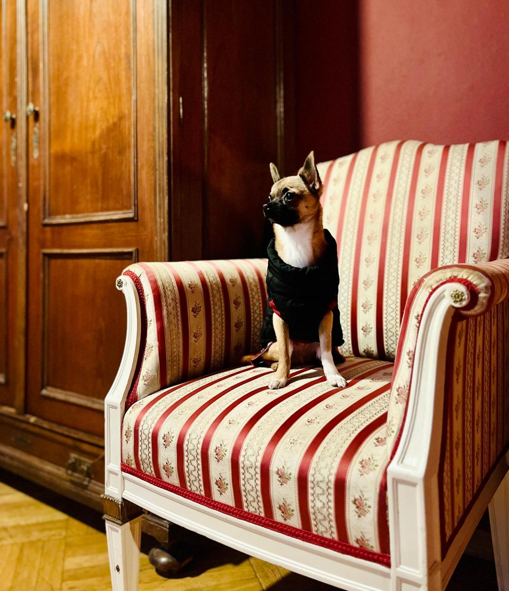 Small Luxury Palace 4*