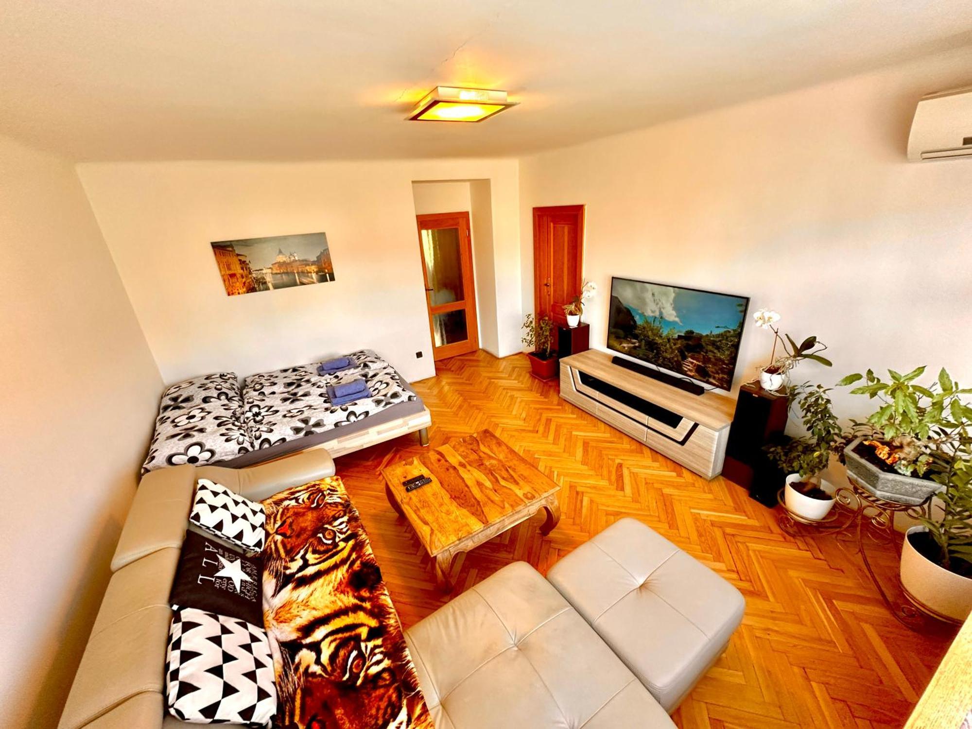 Apartment Planty Space