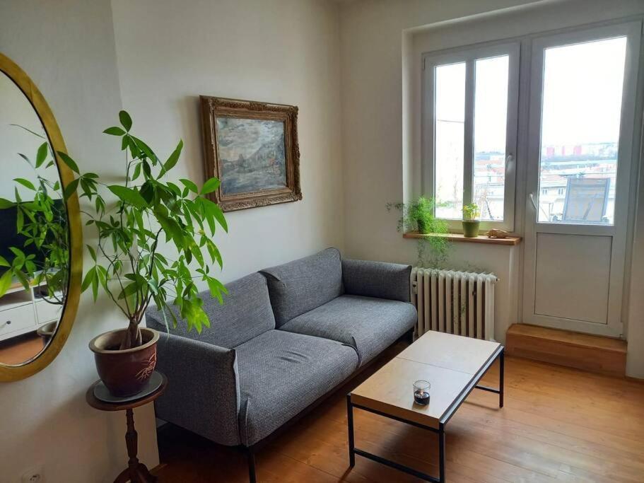 Apartment With Large Terrace *