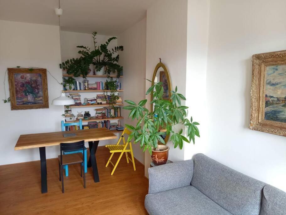 Apartment With Large Terrace *