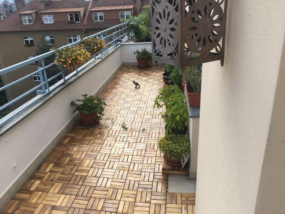 With Large Terrace *