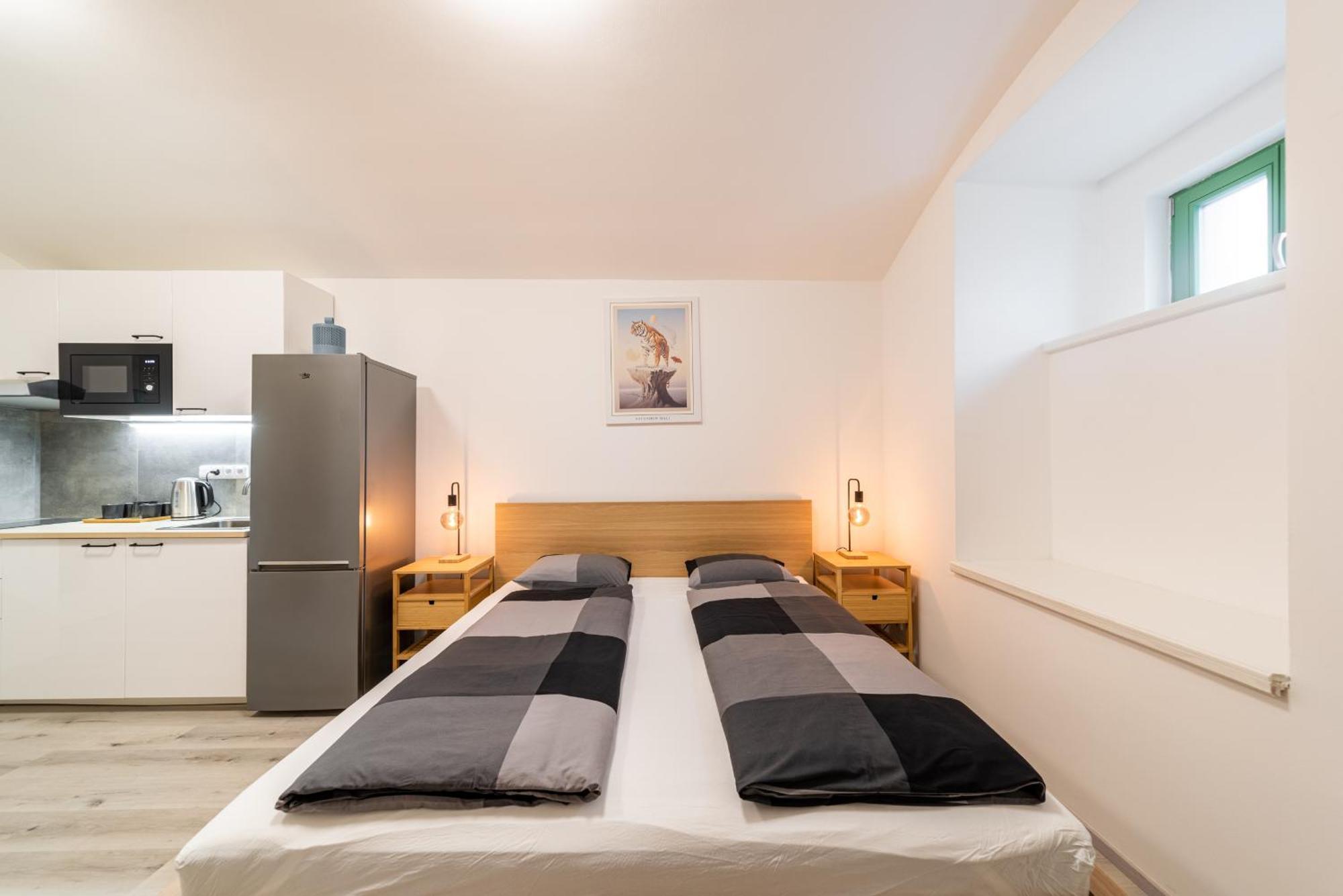 Apartment Borivojova 63 Prague