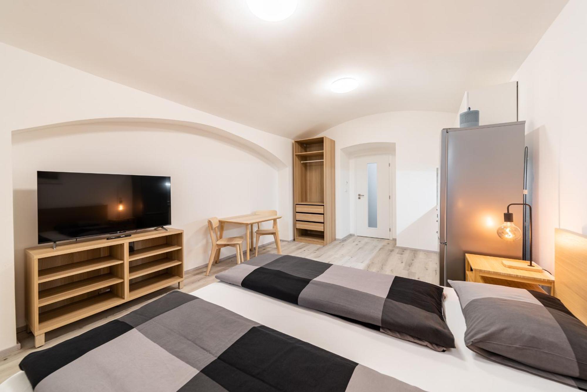 Apartment Borivojova 63