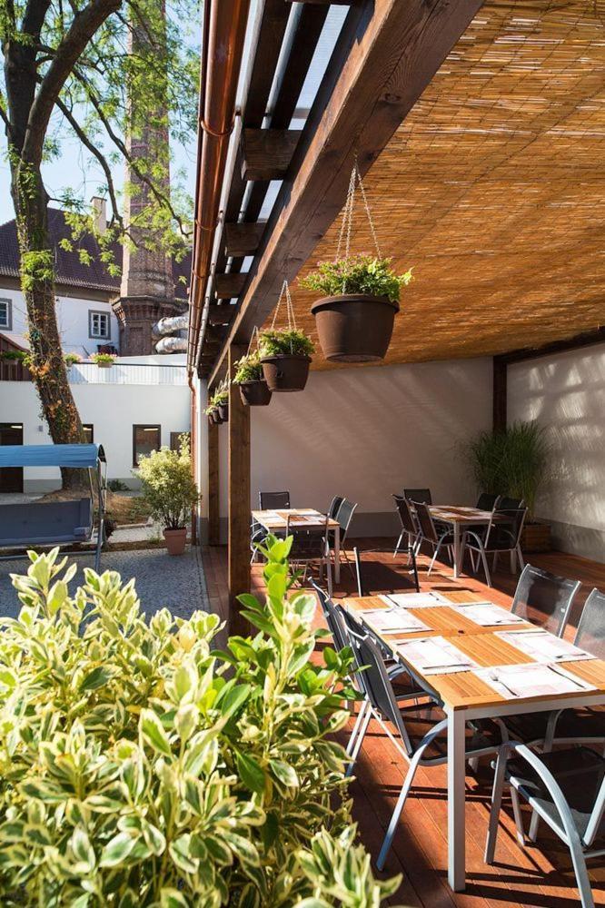 Restaurant Darwin