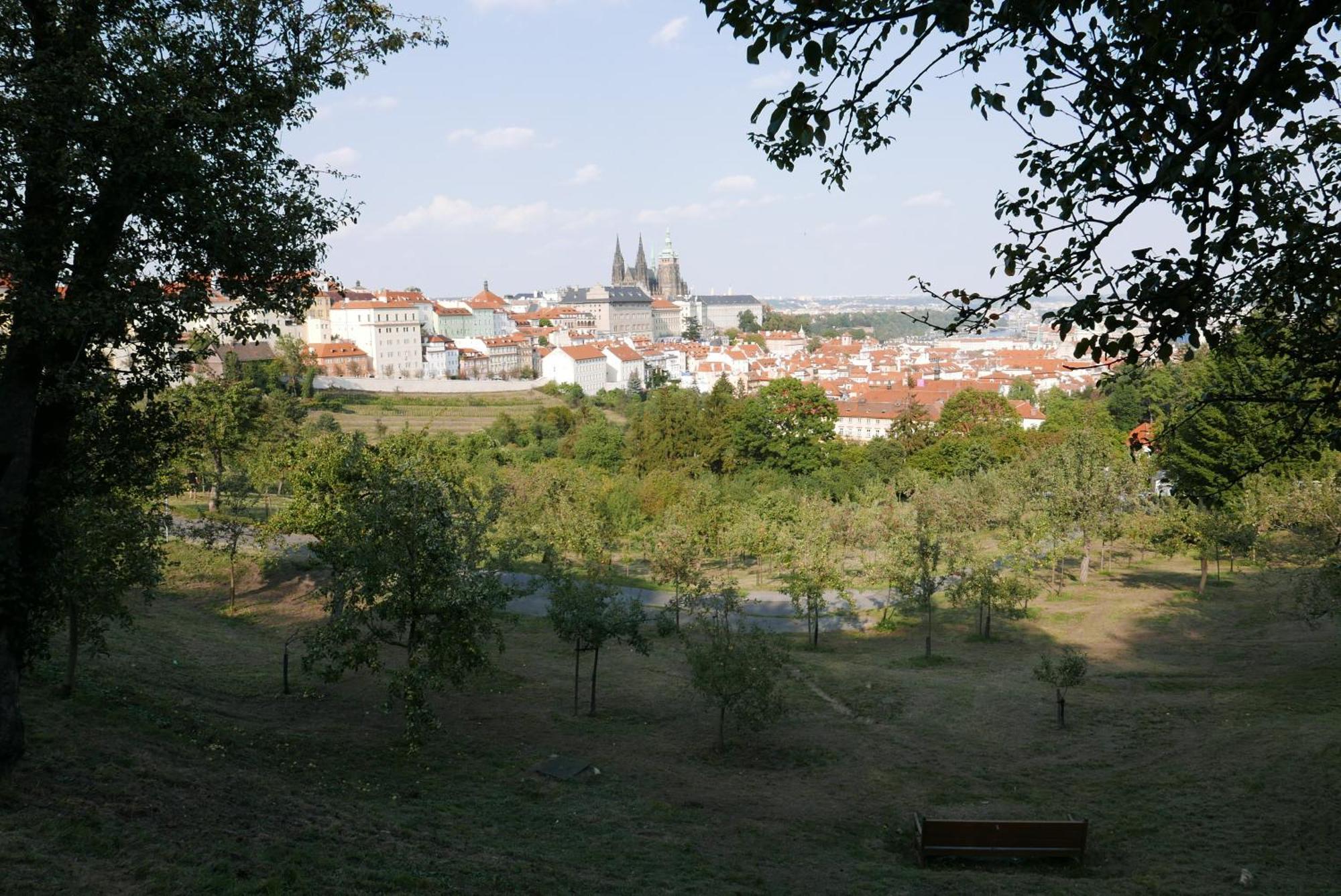 Grace By Castle Prag