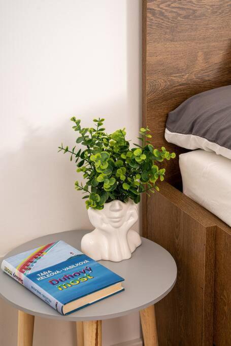 Apartmán Free Parking- Newly Built *